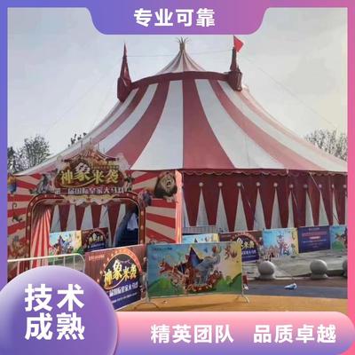 馬戲團(tuán)/羊駝,出租動(dòng)物表演靠譜商家