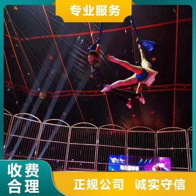 馬戲團(tuán)/羊駝萌寵動物展出租誠信放心