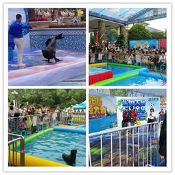 陜西商洛市小型馬戲團(tuán)演出出租價(jià)格多少