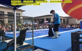 哪里有出租馬戲團(tuán)的潞城海洋生物展