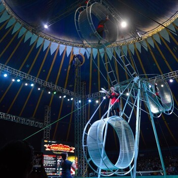 大型馬戲團(tuán)出租雜技表演租賃馬戲團(tuán)價(jià)格