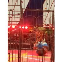 【哪里有馬戲團(tuán)表演出租的獅虎表演出租專業(yè)馬戲活動(dòng)圖片】哪里有馬戲團(tuán)表演出租的獅虎表演出租專業(yè)馬戲活動(dòng)