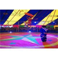 【湖北專業(yè)馬戲團(tuán)雜技表演出租圖片】湖北專業(yè)馬戲團(tuán)雜技表演出租