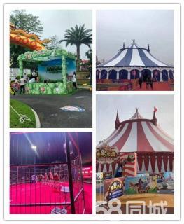 當(dāng)?shù)馗叨舜篑R戲團(tuán)表演動(dòng)物租賃