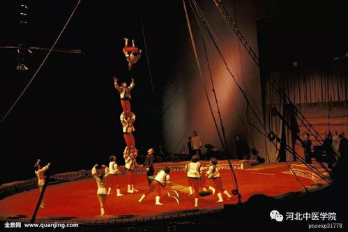 還留守在石家莊的小可愛(ài)們注意啦