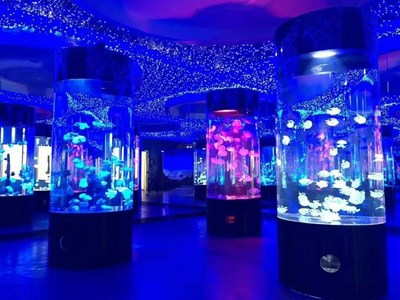 勝凱|動(dòng)物出租|馬戲團(tuán)表演出租|魚(yú)缸展|環(huán)球飛車|馴鹿出