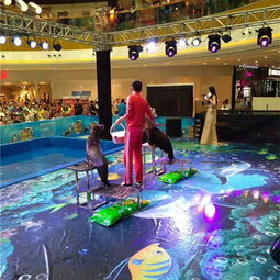 遼寧省來自馬戲之鄉(xiāng)的馬戲團出租