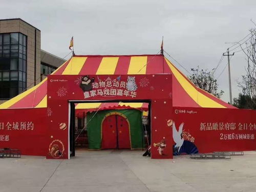 【佛山馬戲團出租租賃】- 