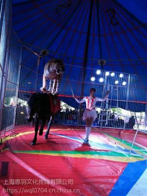 俄羅斯馬戲表演團租賃馬戲團雜技演出出租