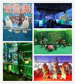山東省淄博市淄川區(qū)百鳥(niǎo)展租賃多少錢(qián)一天