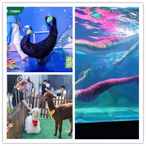 朝陽(yáng)市美人魚表演出租閃亮登場(chǎng)可以互動(dòng)