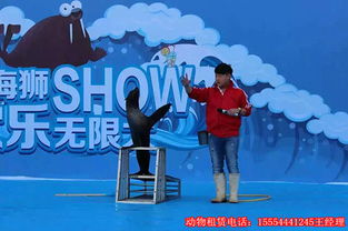 馬戲表演什么價(jià)格重慶馬戲團(tuán)表演租賃7天多少錢(qián)