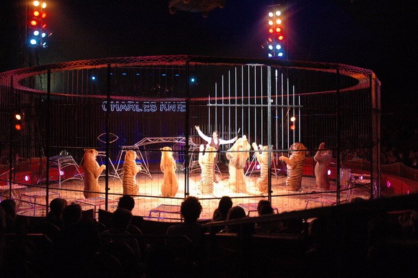 常年供應(yīng)馬戲團(tuán)雜技表演環(huán)球飛車(chē)雜技表演萌寵雜技租賃圖片_高清圖_細(xì)節(jié)圖