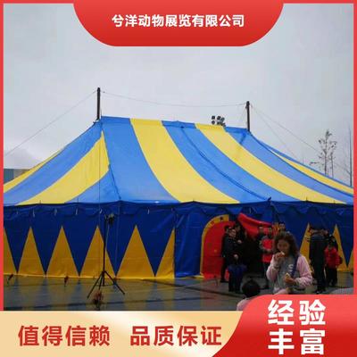 馬戲團(tuán)/羊駝 美人魚表演出租技術(shù)成熟