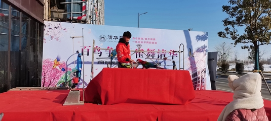 馬戲團(tuán)動物演出租賃與費(fèi)用指南