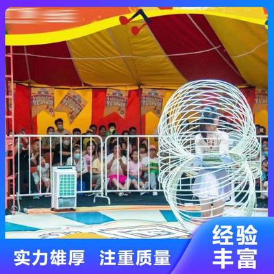 馬戲團(tuán)羊駝與企鵝表演租賃 冰雕展出的精彩合作機(jī)會